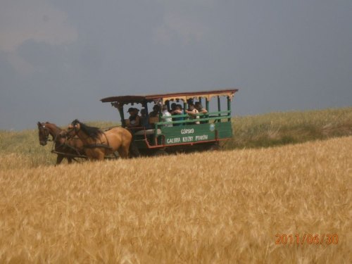 G&oacute;rsko
