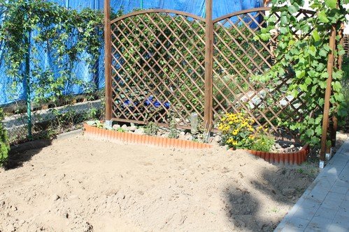 Lato w naszym ogrodzie (10)