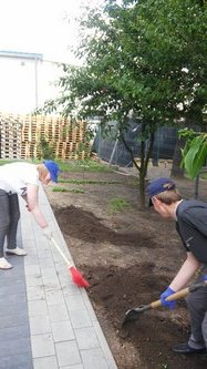 Lato w naszym ogrodzie (2)