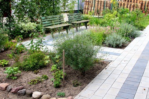 Lato w naszym ogrodzie (30)