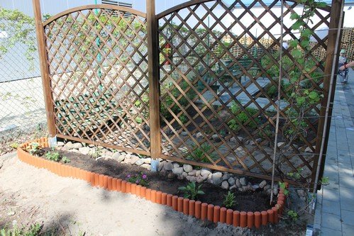 W maju jest pieknie (8)