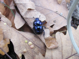 październik 2014_109