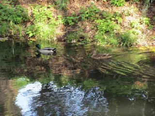 październik 2014_110