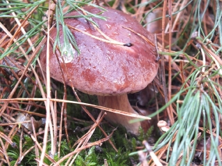 październik 2014_64