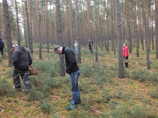 październik 2014_74