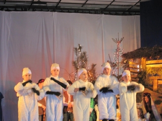 styczeń 2014_205