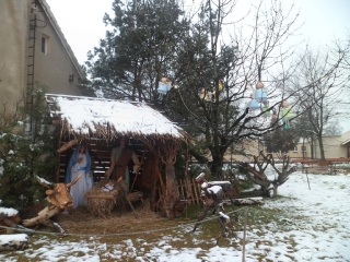 styczeń 2014_216
