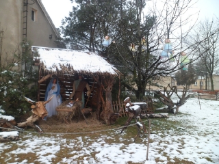 styczeń 2014_217