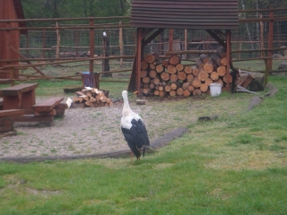 kwiecień 2015_105