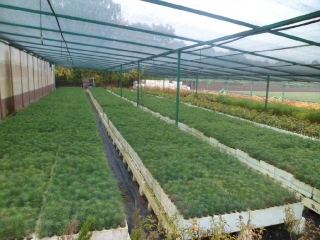 październik 2015_275