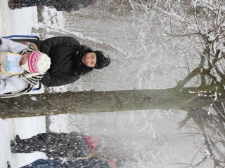styczeń 2017_369