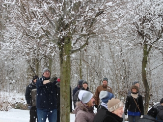 styczeń 2017_371