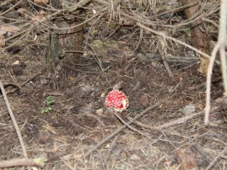 wrzesień 2017_99