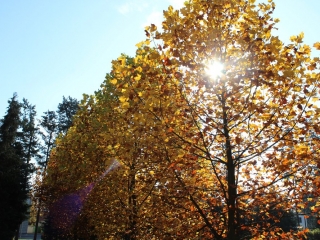 Październik 2019_15