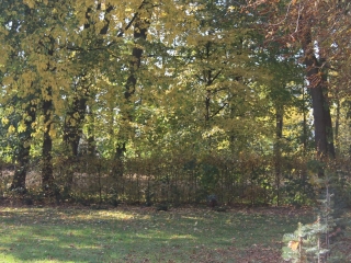 Październik 2019_17