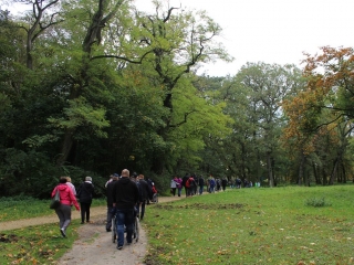 Październik 2019_21