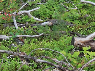 11.10.2023 Podsumowanie akcji sprzątania świata_17