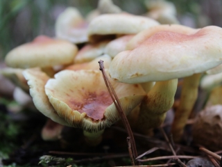 11.10.2023 Podsumowanie akcji sprzątania świata_19