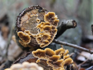 11.10.2023 Podsumowanie akcji sprzątania świata_20