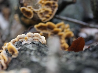 11.10.2023 Podsumowanie akcji sprzątania świata_21